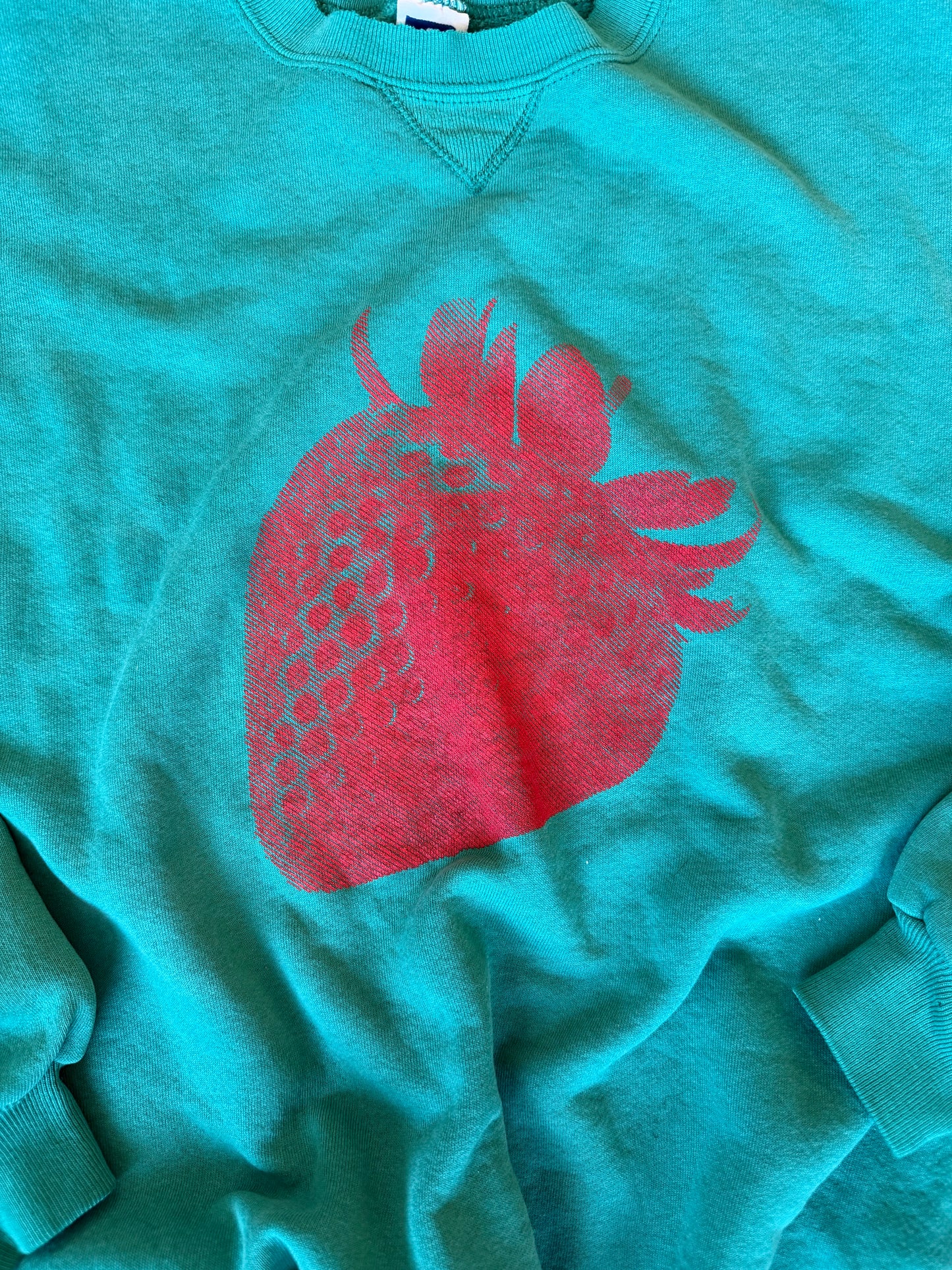 (L/XL) Strawberry Teal Sweatshirt