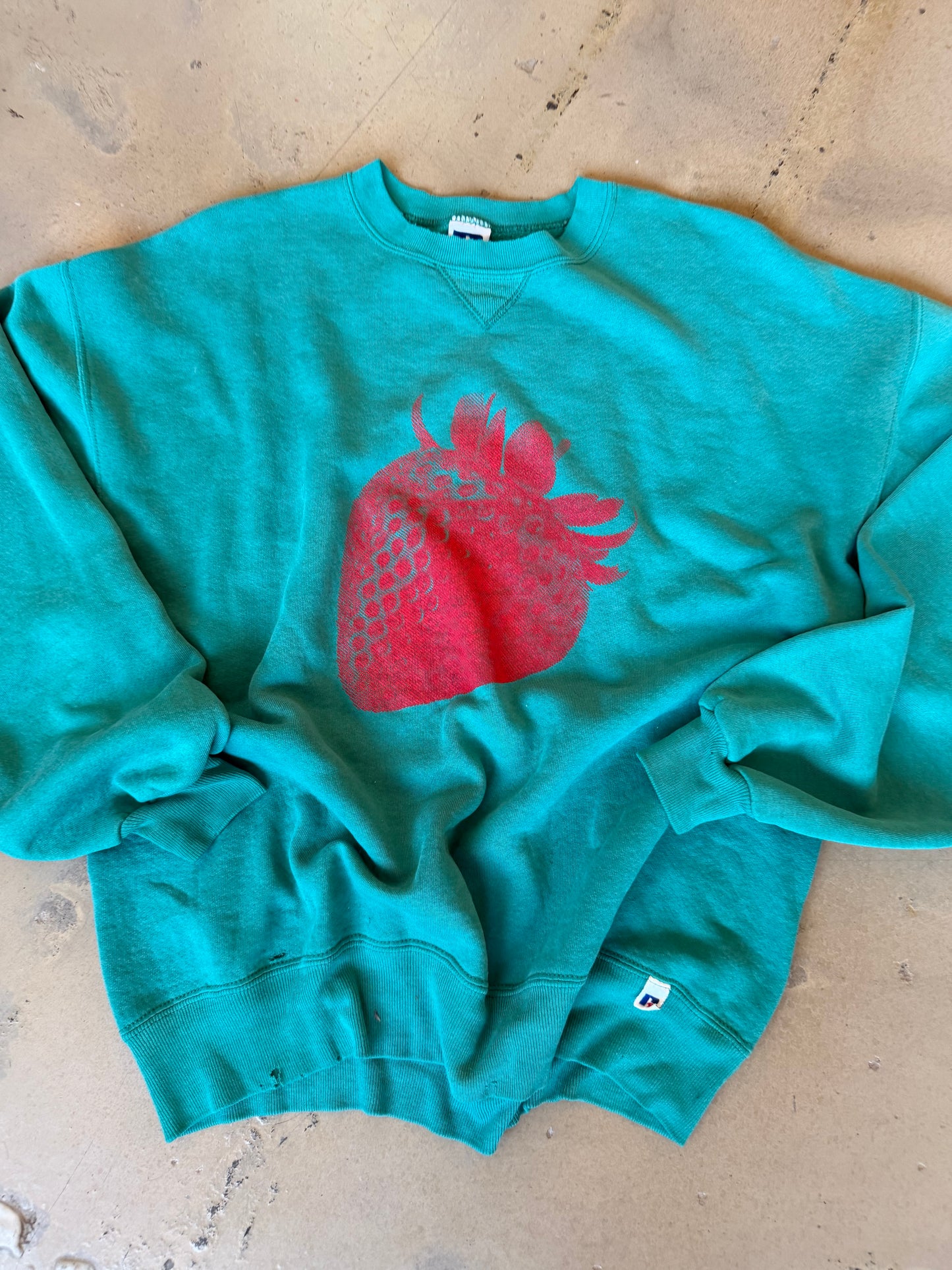 (L/XL) Strawberry Teal Sweatshirt