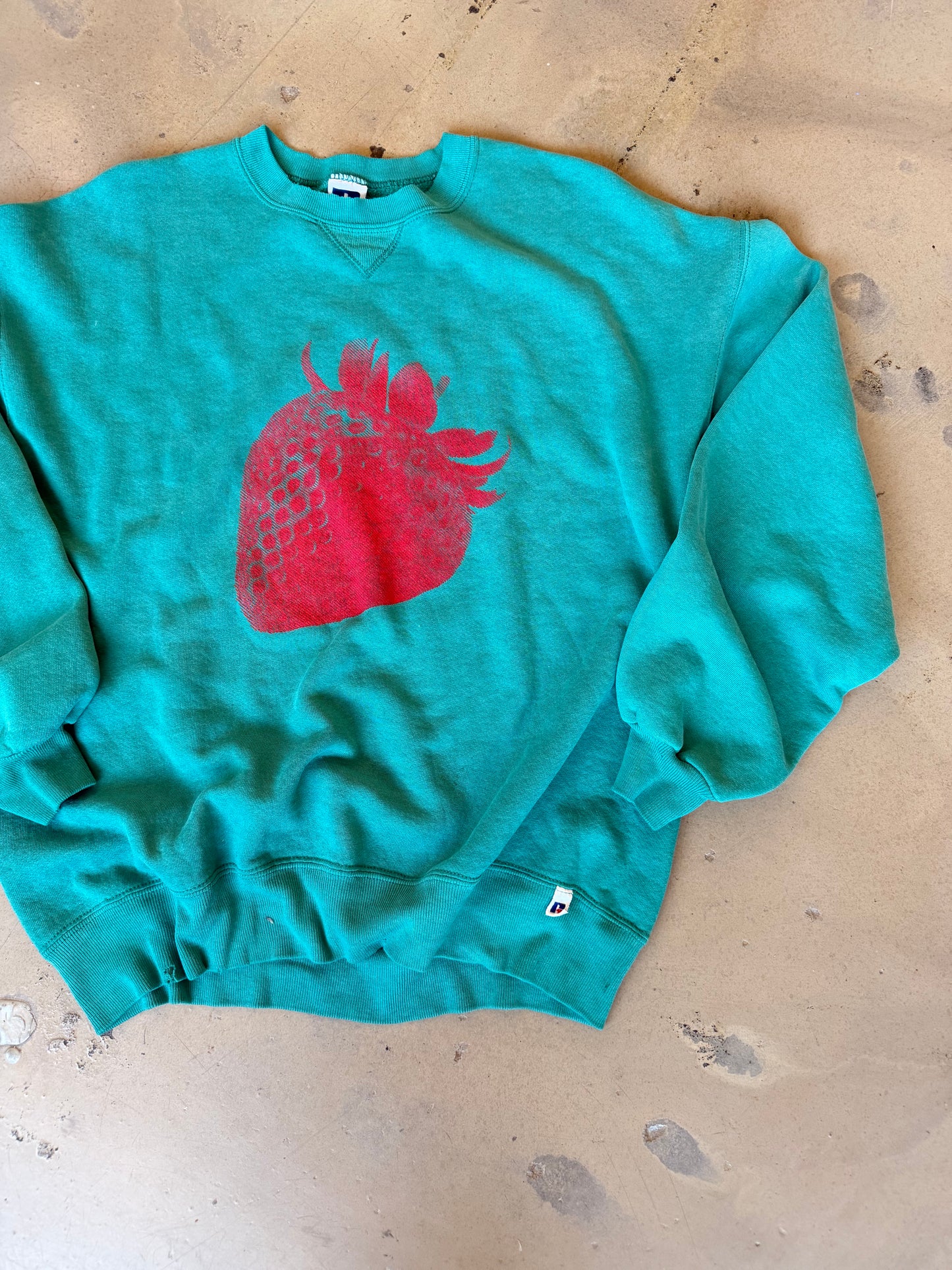 (L/XL) Strawberry Teal Sweatshirt