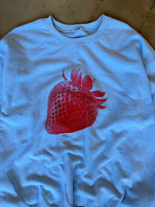 (L/XL) Strawberry Baby                Blue Sweatshirt