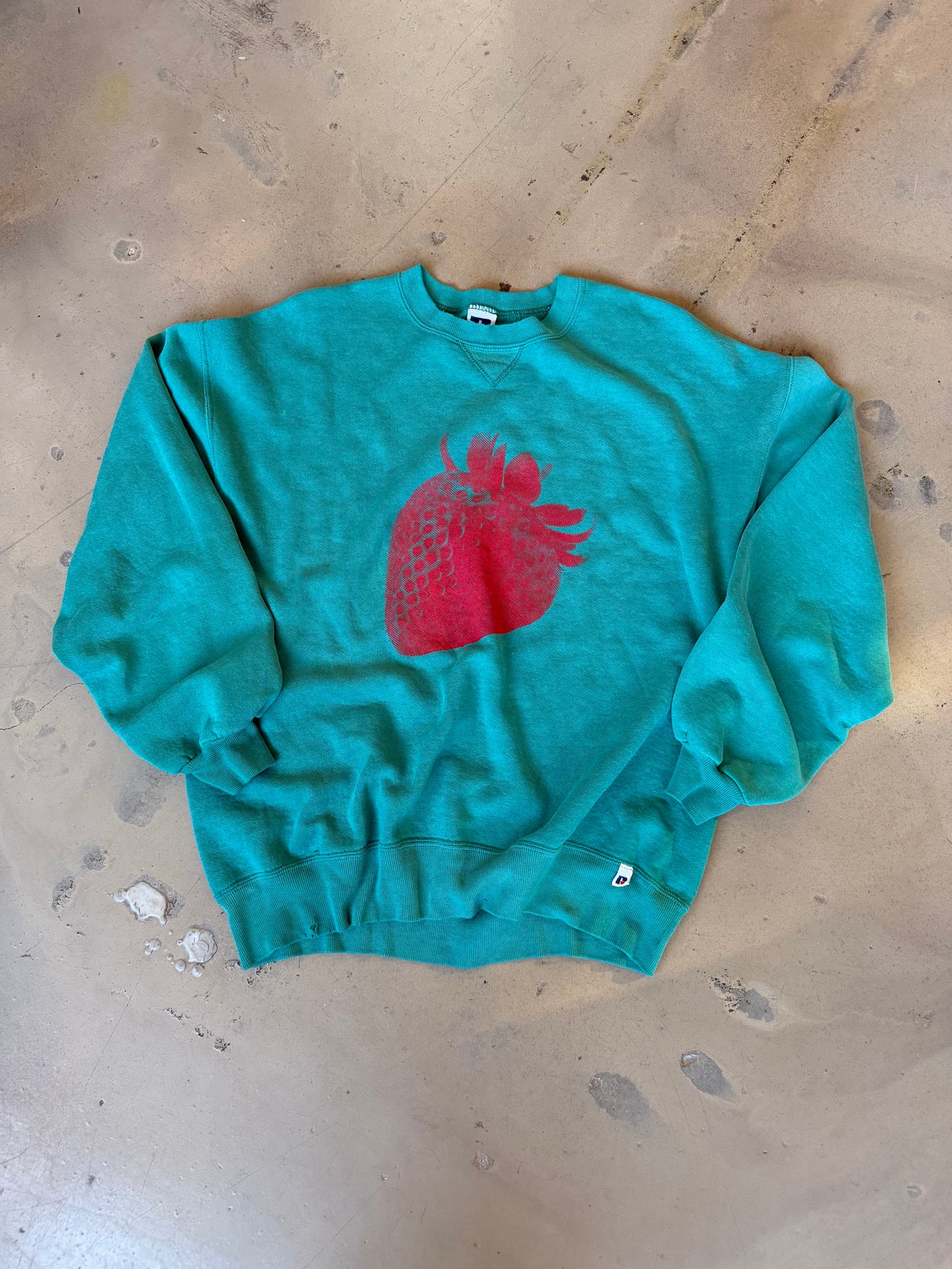 (L/XL) Strawberry Teal Sweatshirt