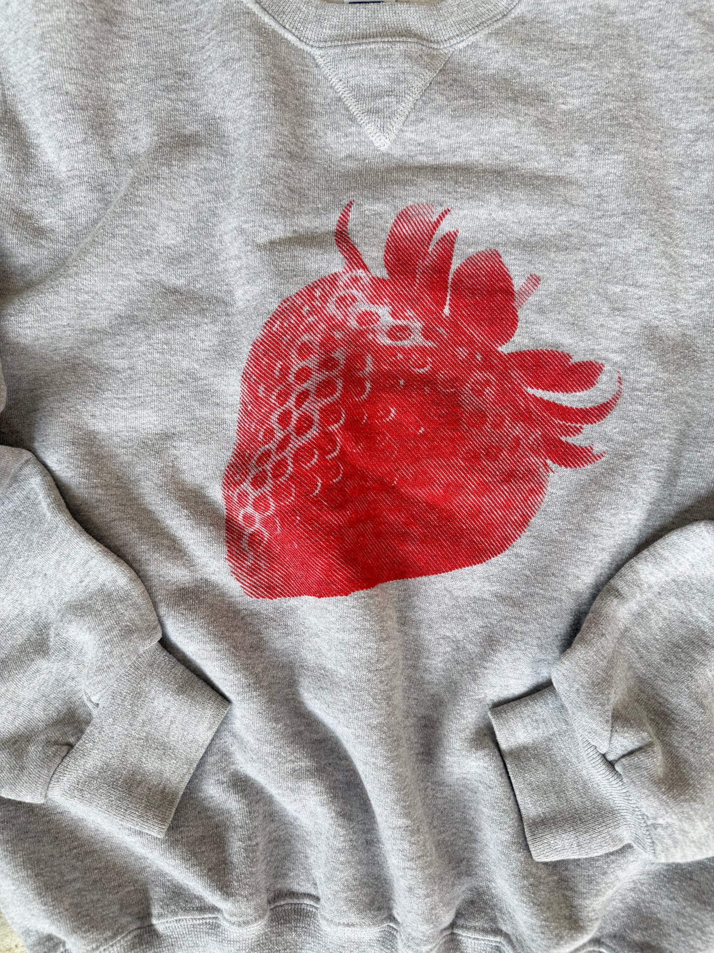 (M) Grey Strawberry Sweatshirt