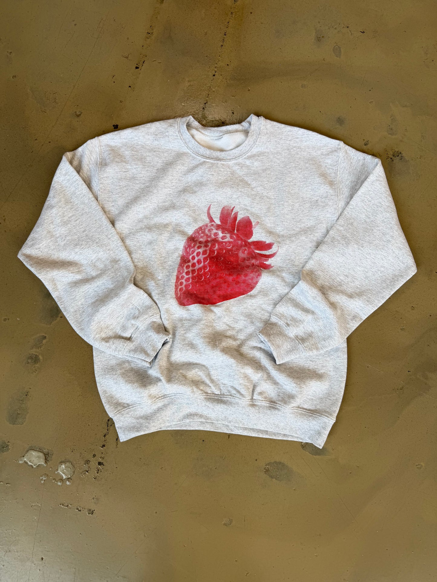 (L) Double Sided Strawberry & Scrip Sweatshirt