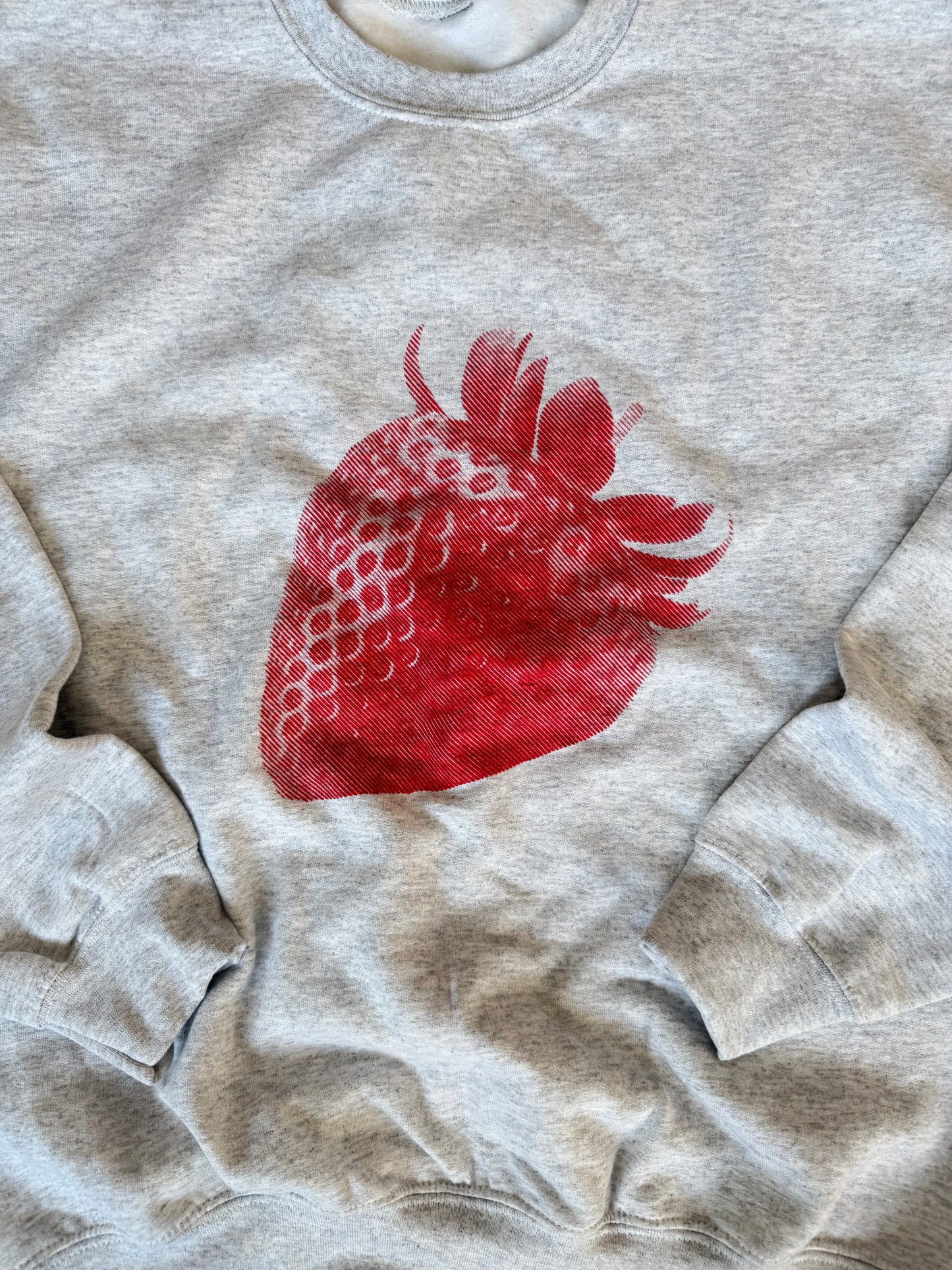 (L) Double Sided Strawberry & Scrip Sweatshirt