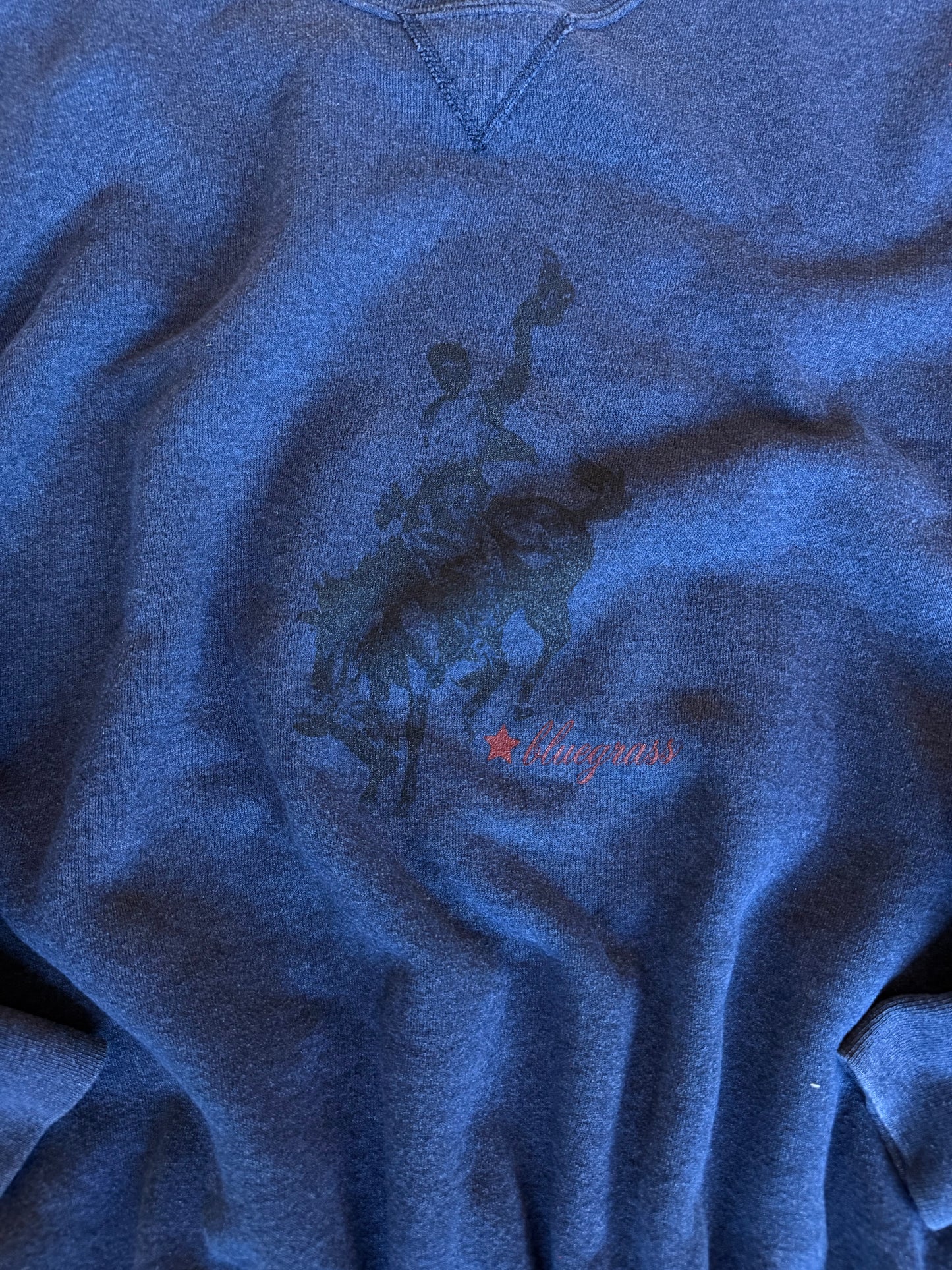 (L/XL) Navy Bluegrass Sweatshirt