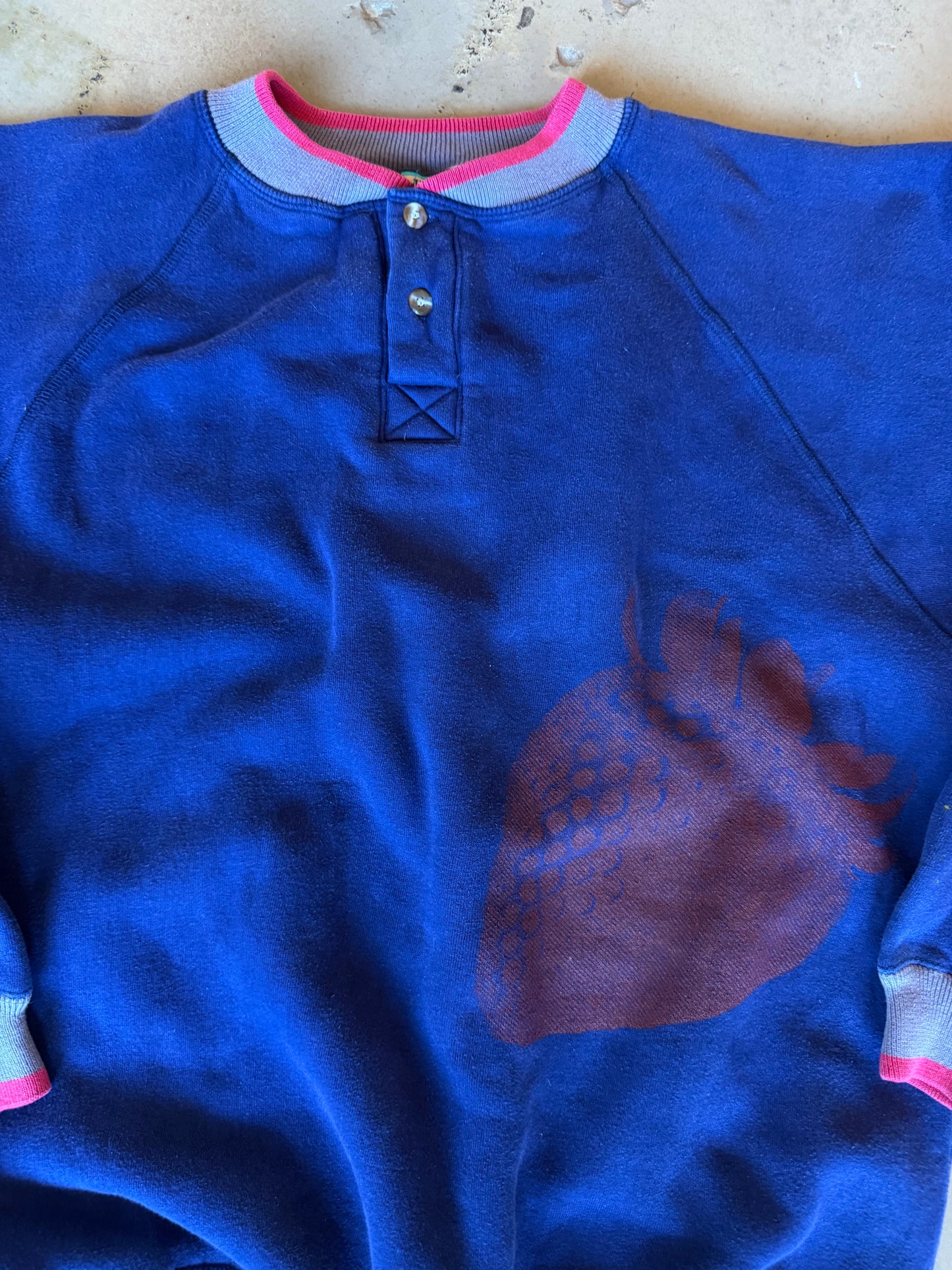 (L/XL) Blue Strawberry Sweatshirt
