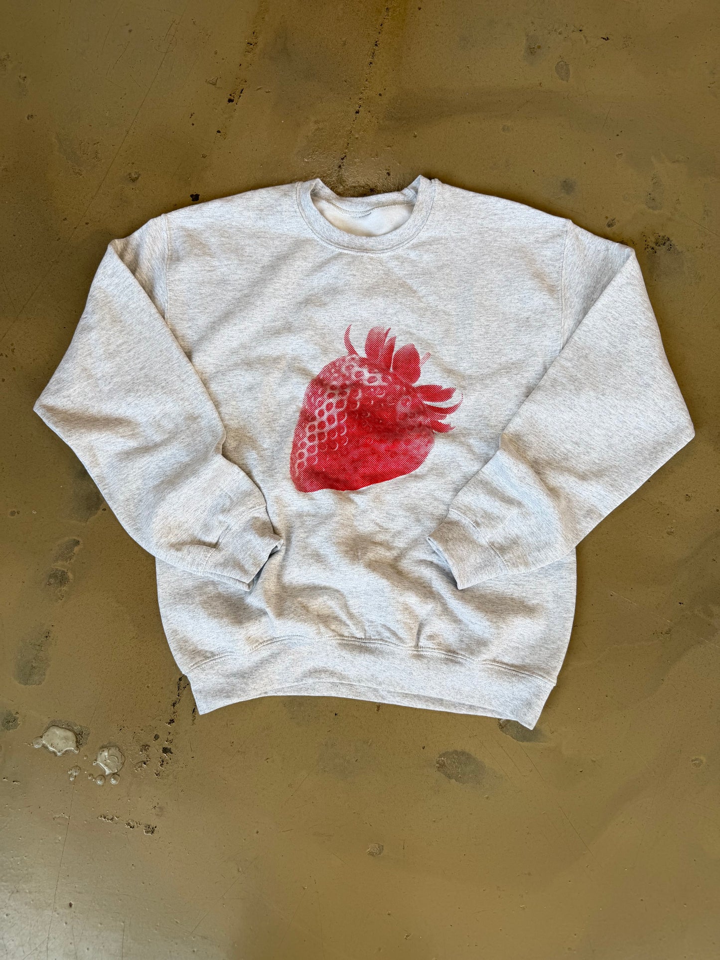 (L) Double Sided Strawberry & Scrip Sweatshirt